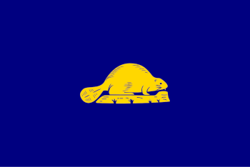 Oregon Flag (Reverse)