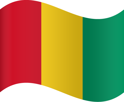Guinea Flag