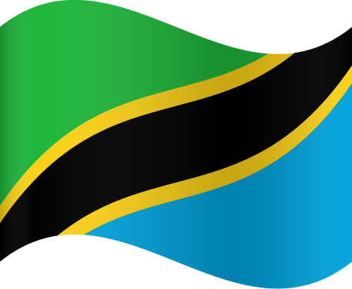 Tanzania Flag