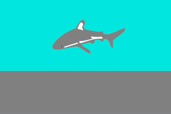 Kingman Reef Unofficial Flag