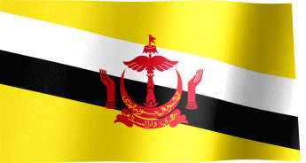 Brunei Flag
