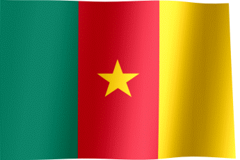 Cameroon Flag
