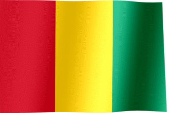 Guinea Flag