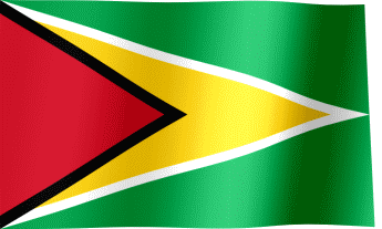 Guyana Flag