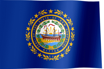 New Hampshire Flag