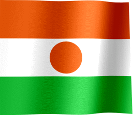 Niger Flag