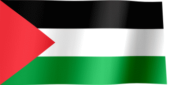 Palestine Flag