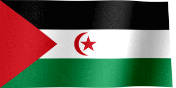 Sahrawi Arab Democratic Republic Flag