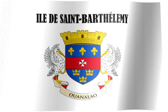 Saint Barthélemy Flag