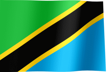 Tanzania Flag