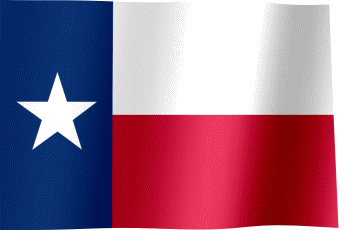 Texas Flag
