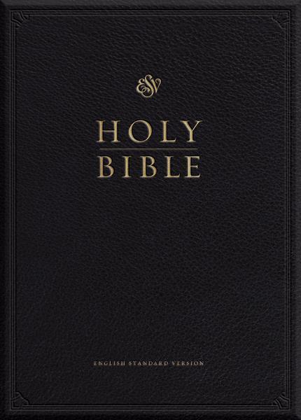The Bible - Category